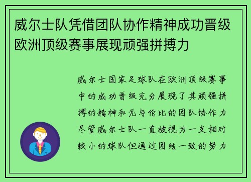 威尔士队凭借团队协作精神成功晋级欧洲顶级赛事展现顽强拼搏力