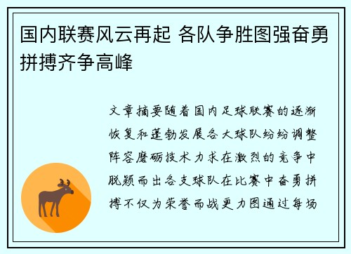 国内联赛风云再起 各队争胜图强奋勇拼搏齐争高峰