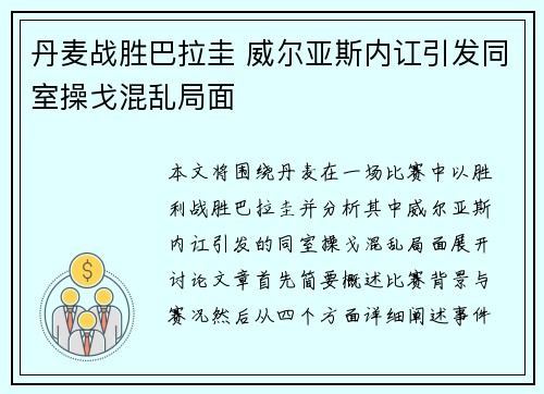 丹麦战胜巴拉圭 威尔亚斯内讧引发同室操戈混乱局面